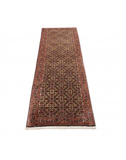 Tappeto Bidjar Persia verde marrone 65x211