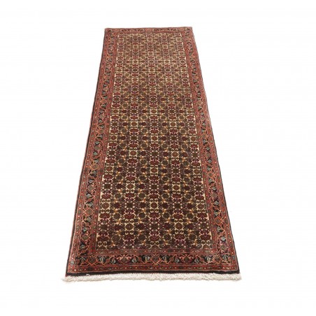 Tappeto Bidjar Persia verde marrone 65x211