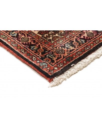 Tappeto Bidjar Persia verde marrone 65x211