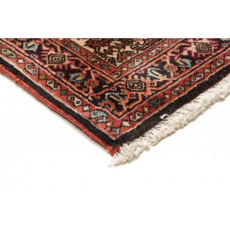 Tappeto Bidjar Persia verde marrone 65x211