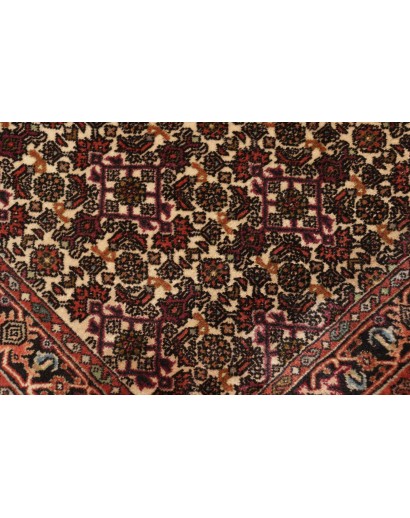 Tappeto Bidjar Persia verde marrone 65x211