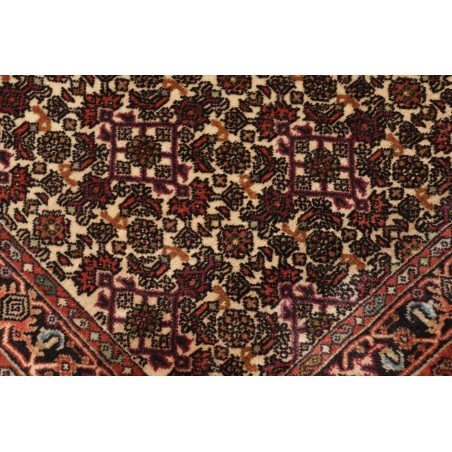 Tappeto Bidjar Persia verde marrone 65x211