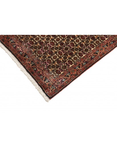 Tappeto Bidjar Persia verde marrone 65x211