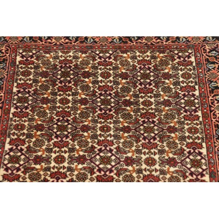Tappeto Bidjar Persia verde marrone 65x211