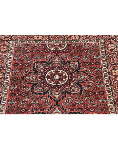 Tappeto Bidjar Persia azzurro grigio 66x210