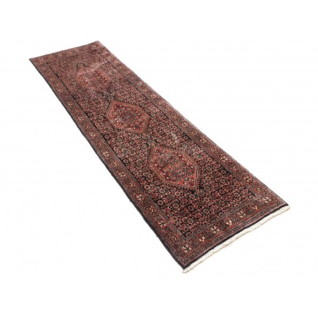 Tappeto Bidjar Persia verde marrone 58x200