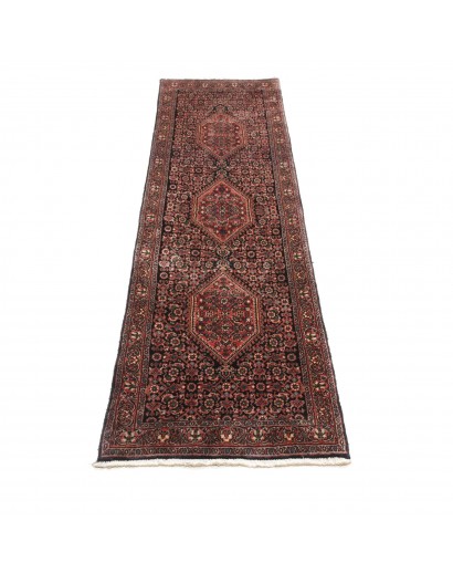 Tappeto Bidjar Persia verde marrone 58x200