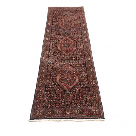 Tappeto Bidjar Persia verde marrone 58x200