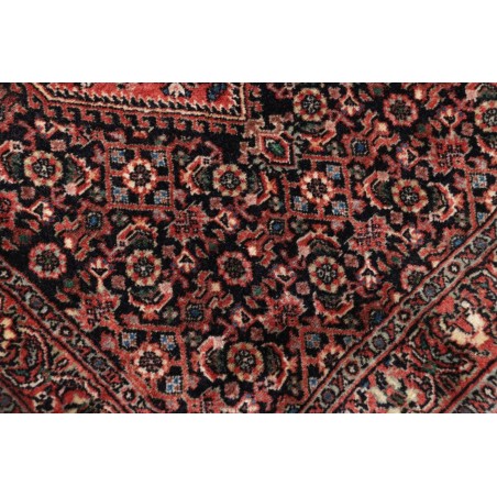 Tappeto Bidjar Persia verde marrone 58x200
