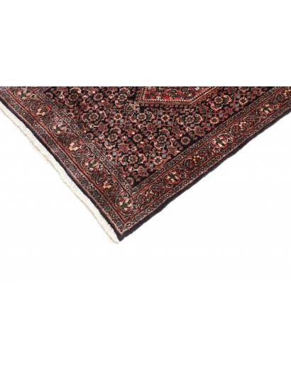 Tappeto Bidjar Persia verde marrone 58x200