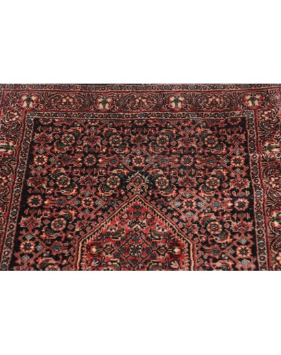 Tappeto Bidjar Persia verde marrone 58x200