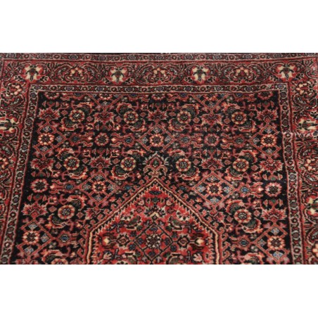 Tappeto Bidjar Persia verde marrone 58x200