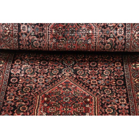 Tappeto Bidjar Persia verde marrone 58x200