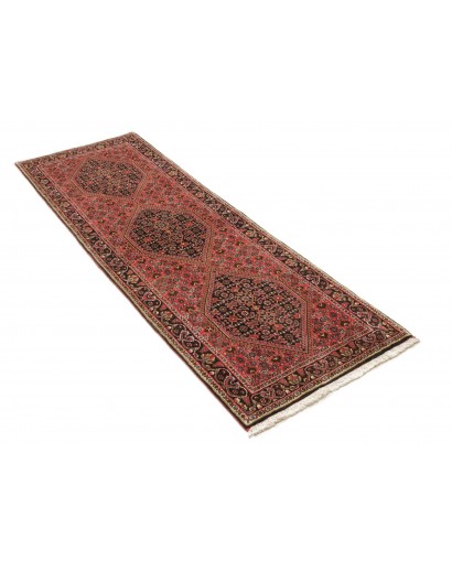 Tappeto Bidjar Persia marrone giallo 66x208