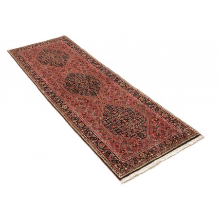 Tappeto Bidjar Persia marrone giallo 66x208