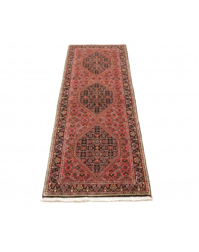 Tappeto Bidjar Persia marrone giallo 66x208
