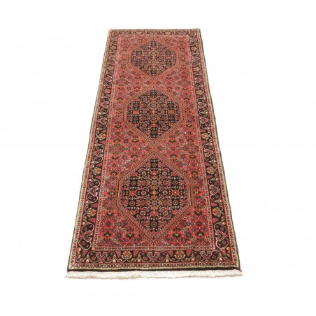 Tappeto Bidjar Persia marrone giallo 66x208