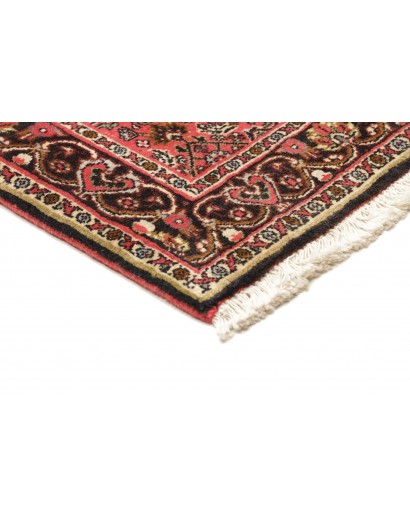 Tappeto Bidjar Persia marrone giallo 66x208