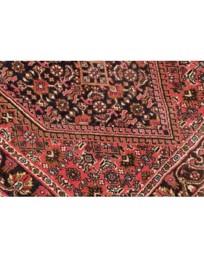 Tappeto Bidjar Persia marrone giallo 66x208