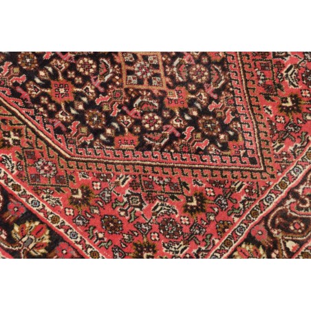 Tappeto Bidjar Persia marrone giallo 66x208