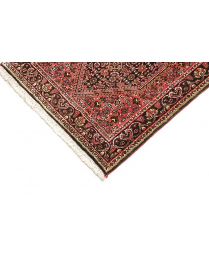 Tappeto Bidjar Persia marrone giallo 66x208