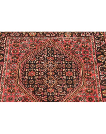 Tappeto Bidjar Persia marrone giallo 66x208