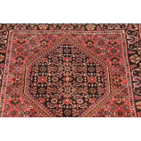 Tappeto Bidjar Persia marrone giallo 66x208