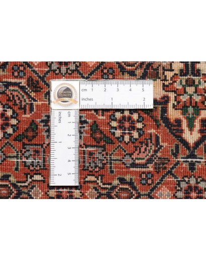 Tappeto Bidjar Persia marrone giallo 66x208