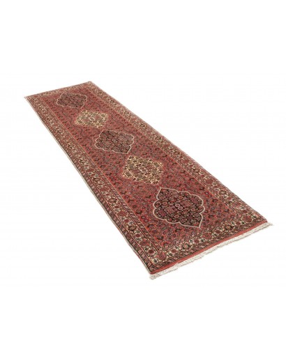 Tappeto Bidjar Persia marrone verde 77x248