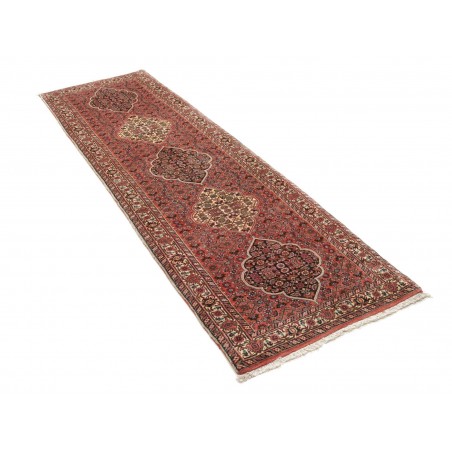 Tappeto Bidjar Persia marrone verde 77x248