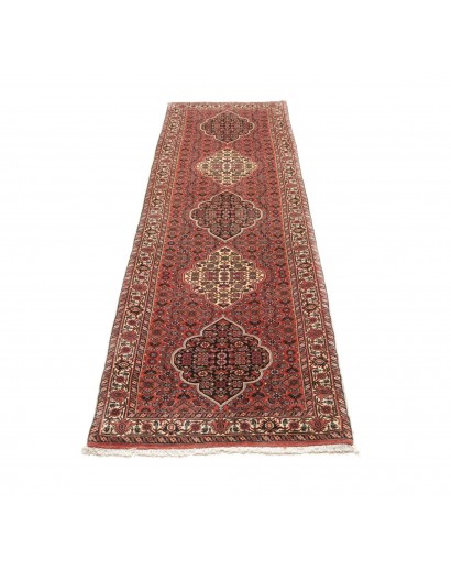 Tappeto Bidjar Persia marrone verde 77x248