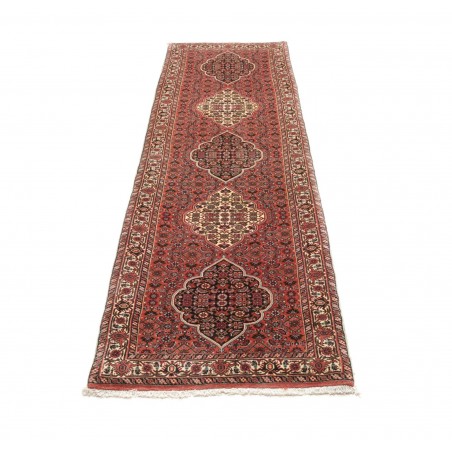 Tappeto Bidjar Persia marrone verde 77x248