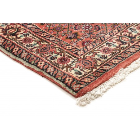Tappeto Bidjar Persia marrone verde 77x248