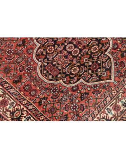 Tappeto Bidjar Persia marrone verde 77x248