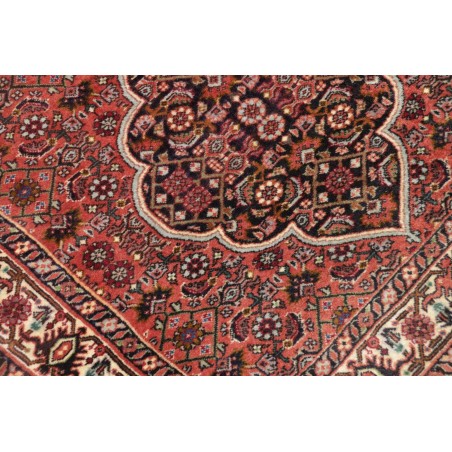 Tappeto Bidjar Persia marrone verde 77x248