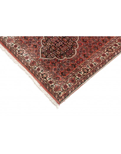 Tappeto Bidjar Persia marrone verde 77x248