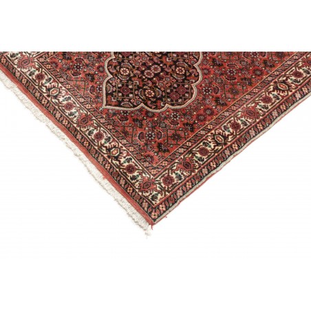Tappeto Bidjar Persia marrone verde 77x248
