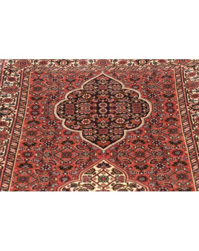 Tappeto Bidjar Persia marrone verde 77x248