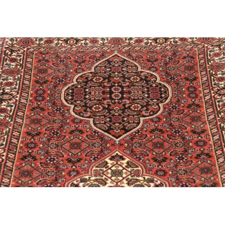 Tappeto Bidjar Persia marrone verde 77x248