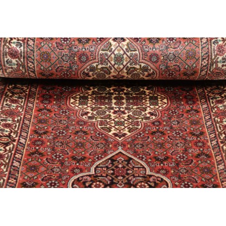 Tappeto Bidjar Persia marrone verde 77x248