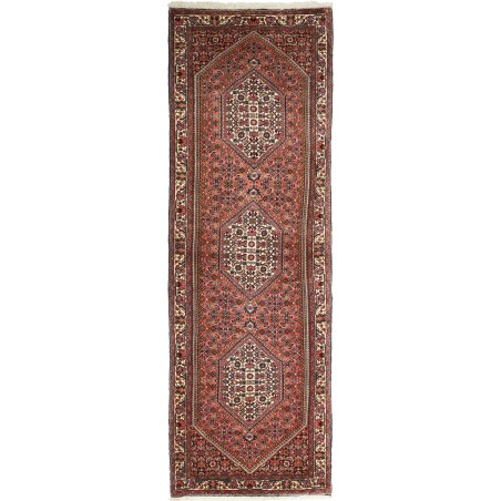 Tappeto Bidjar Persia verde bianco 68x209