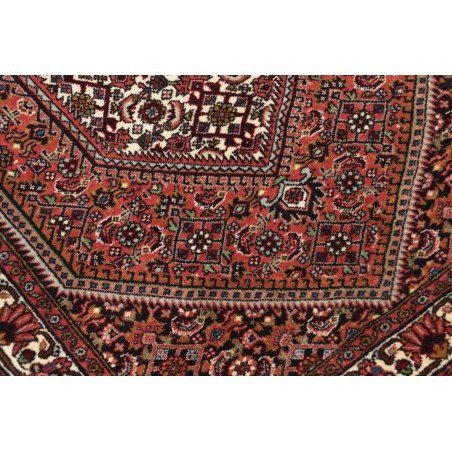 Tappeto Bidjar Persia verde bianco 68x209