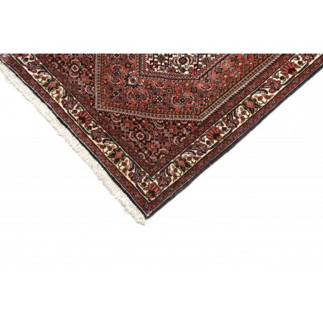 Tappeto Bidjar Persia verde bianco 68x209