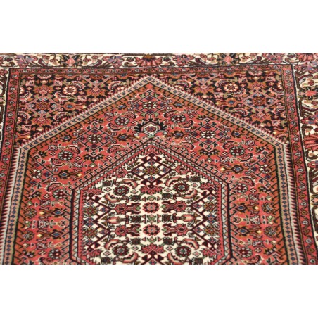 Tappeto Bidjar Persia verde bianco 68x209