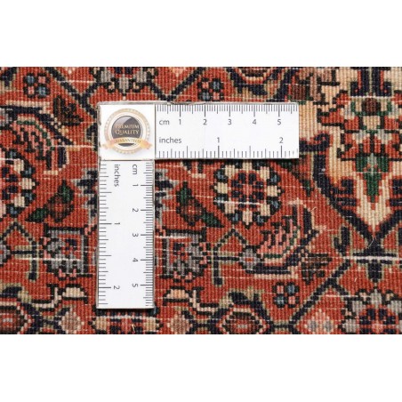 Tappeto Bidjar Persia verde bianco 68x209