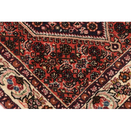 Tappeto Bidjar Persia marrone arancione 64x220