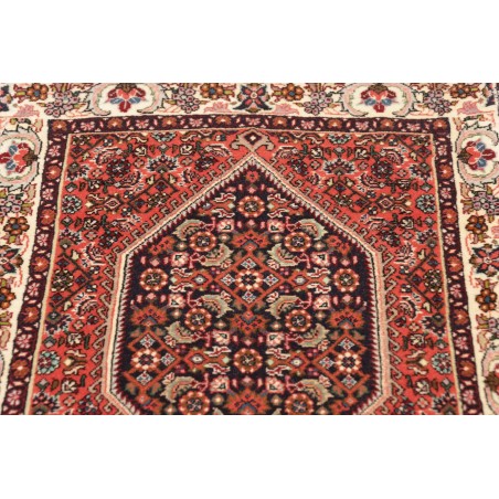 Tappeto Bidjar Persia marrone arancione 64x220