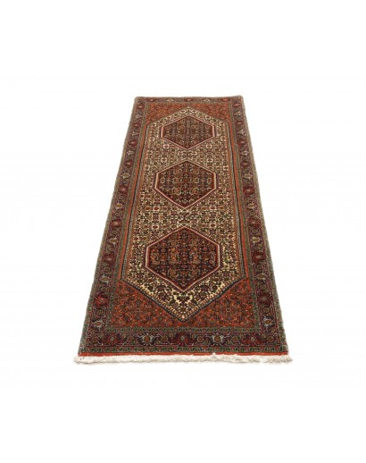 Tappeto Bidjar Persia verde giallo 76x211