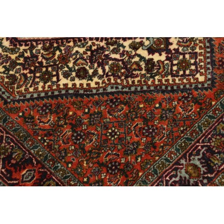 Tappeto Bidjar Persia verde giallo 76x211