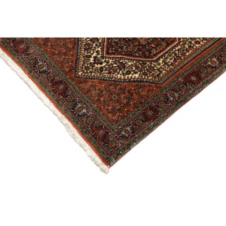 Tappeto Bidjar Persia verde giallo 76x211